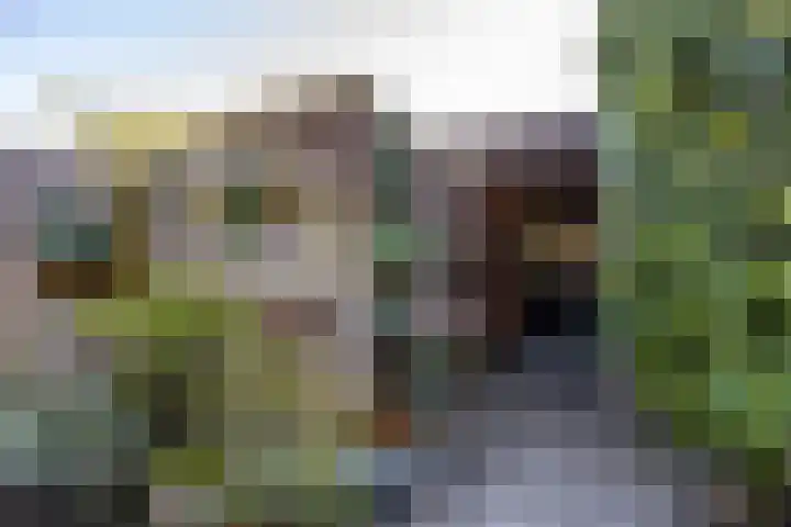 Dikninge 40 Norg thumbnail 33