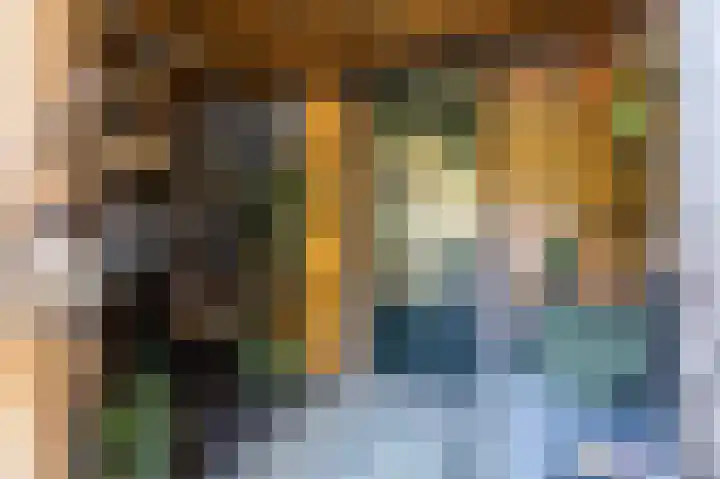 Dikninge 40 Norg thumbnail 35