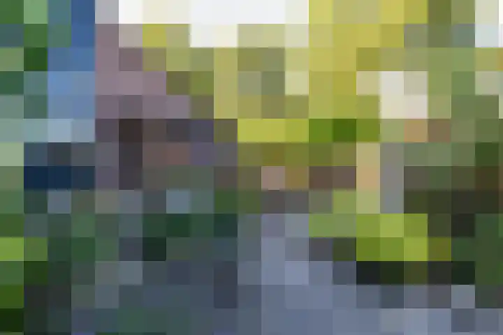 Dikninge 40 Norg thumbnail 36