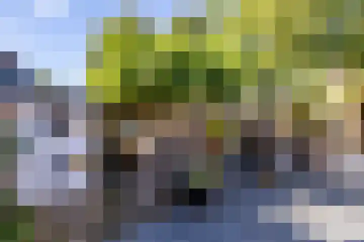 Dikninge 40 Norg thumbnail 38