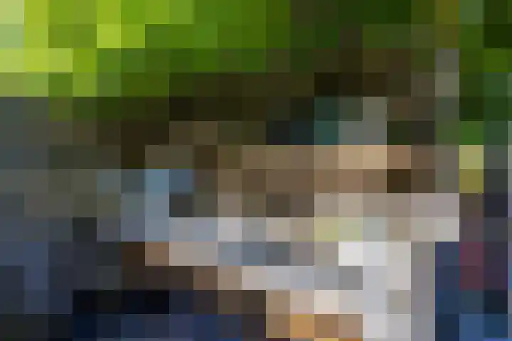 Dikninge 40 Norg thumbnail 39