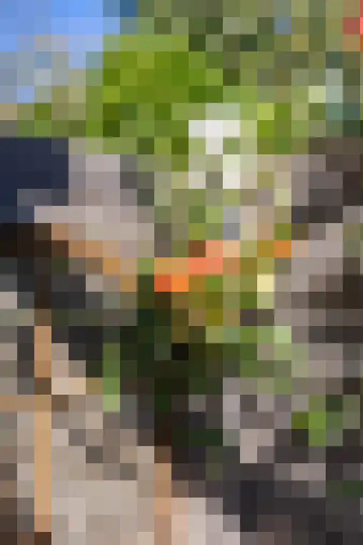 Dikninge 40 Norg thumbnail 40
