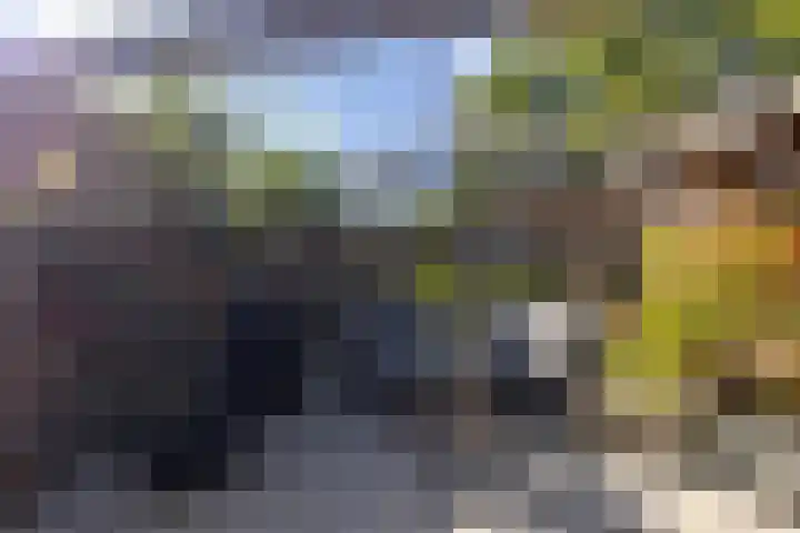 Dikninge 40 Norg thumbnail 41