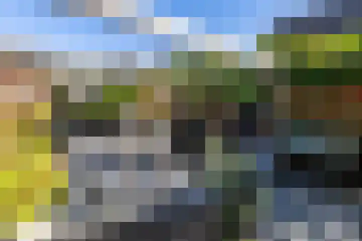 Dikninge 40 Norg thumbnail 42