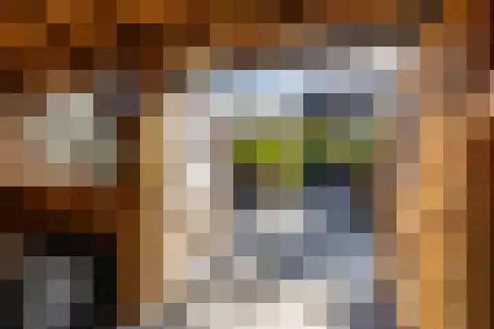 Dikninge 40 Norg thumbnail 46