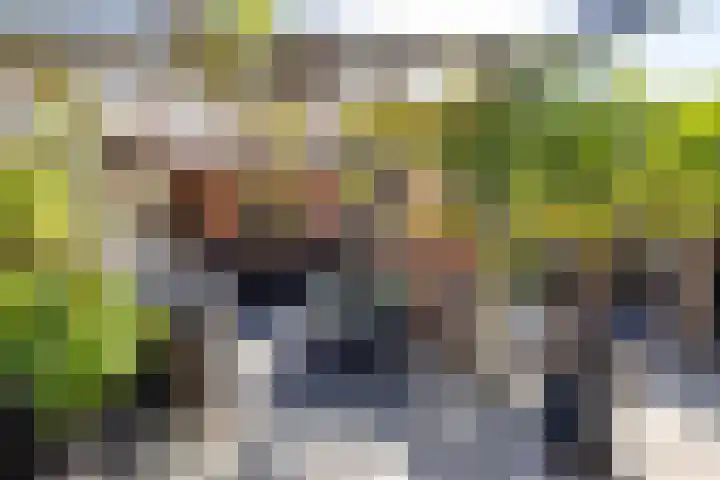Dikninge 40 Norg thumbnail 47