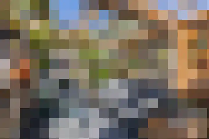 Dikninge 40 Norg thumbnail 49