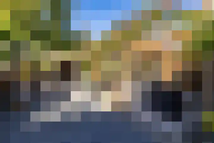 Dikninge 40 Norg thumbnail 5