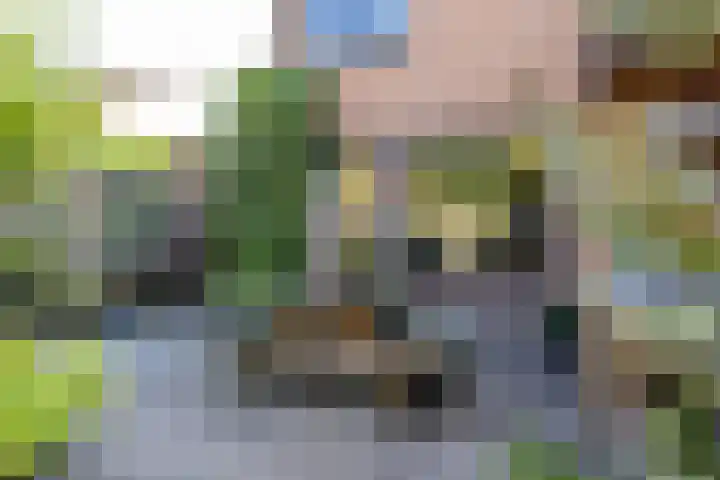 Dikninge 40 Norg thumbnail 52