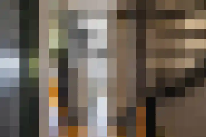 Dikninge 40 Norg thumbnail 53