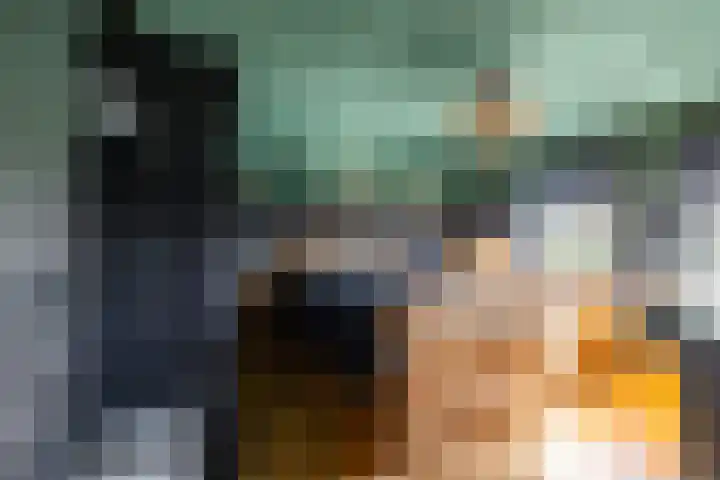 Dikninge 40 Norg thumbnail 55