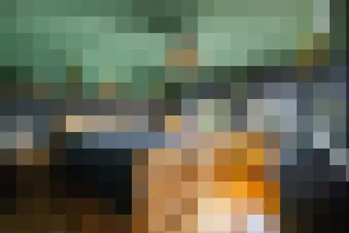 Dikninge 40 Norg thumbnail 56