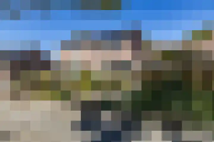 Dikninge 40 Norg thumbnail 6