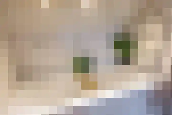 Dikninge 40 Norg thumbnail 60