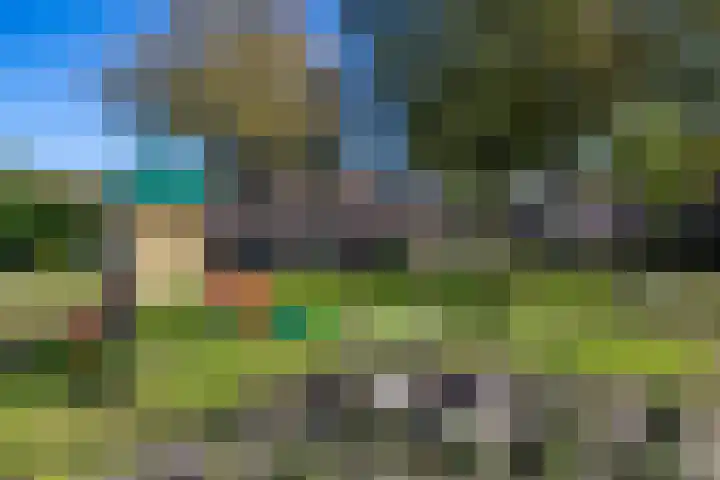 Dikninge 40 Norg thumbnail 63
