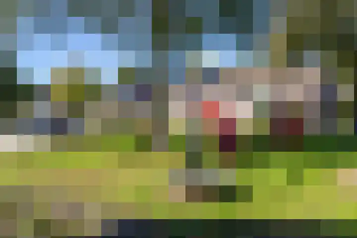 Dikninge 40 Norg thumbnail 64