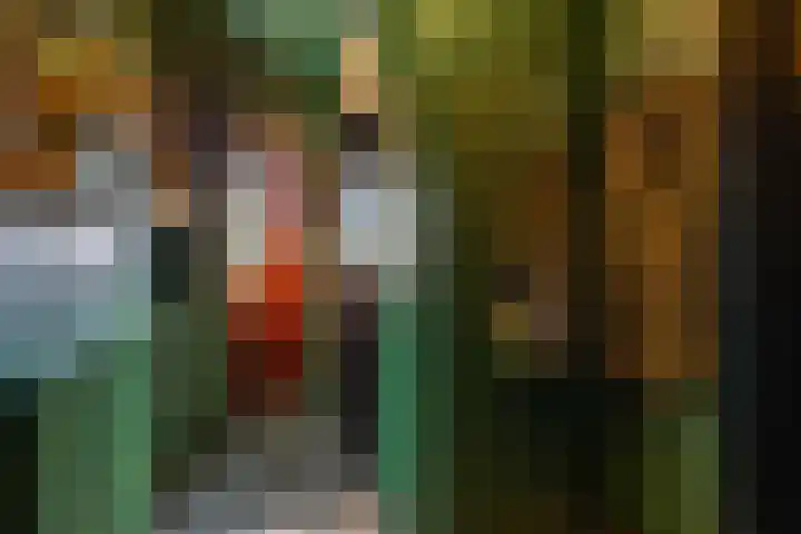 Dikninge 40 Norg thumbnail 9