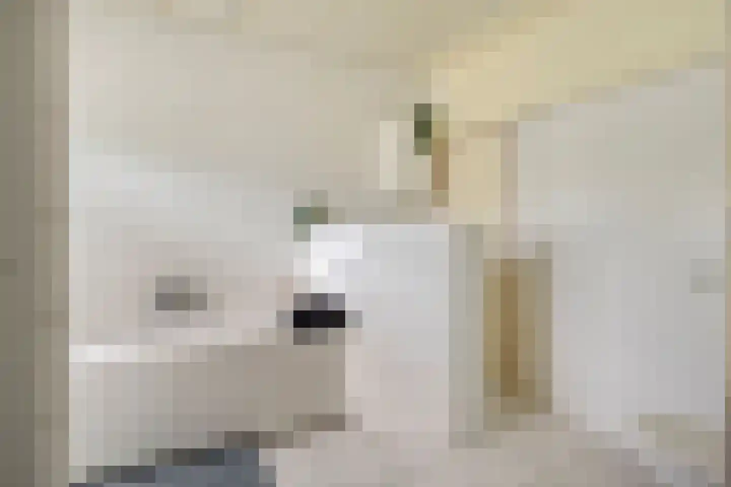 Dikninge 97 Amsterdam thumbnail 13