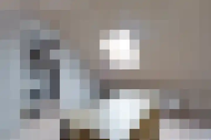 Dikningestraat 13 Beilen thumbnail 17