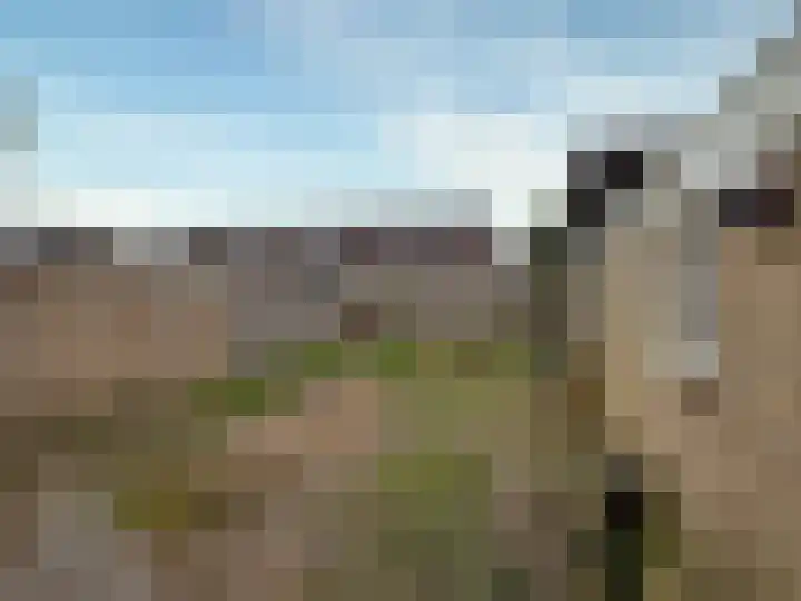 Dikningestraat 13 Beilen thumbnail 18