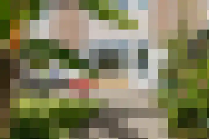 Diksmuidestraat 47 Breda thumbnail 13
