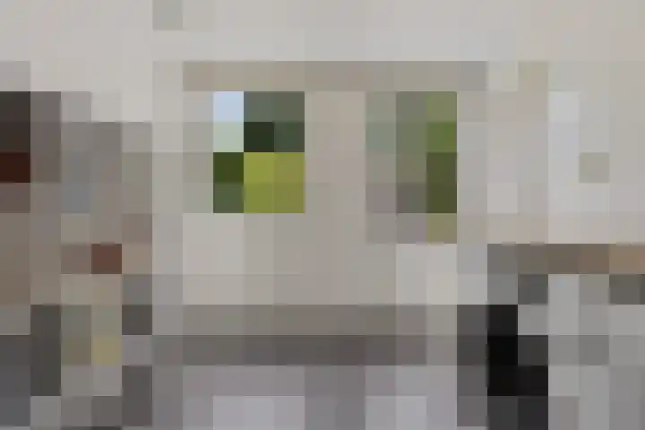 Dilakker 13 Aalden thumbnail 12