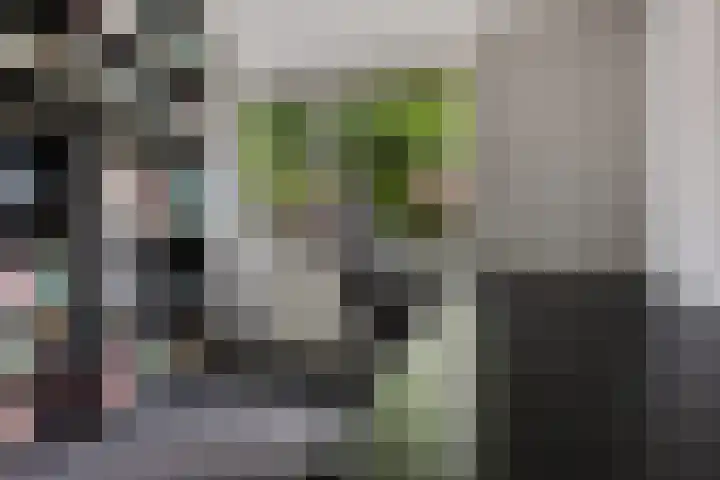 Dilakker 13 Aalden thumbnail 14