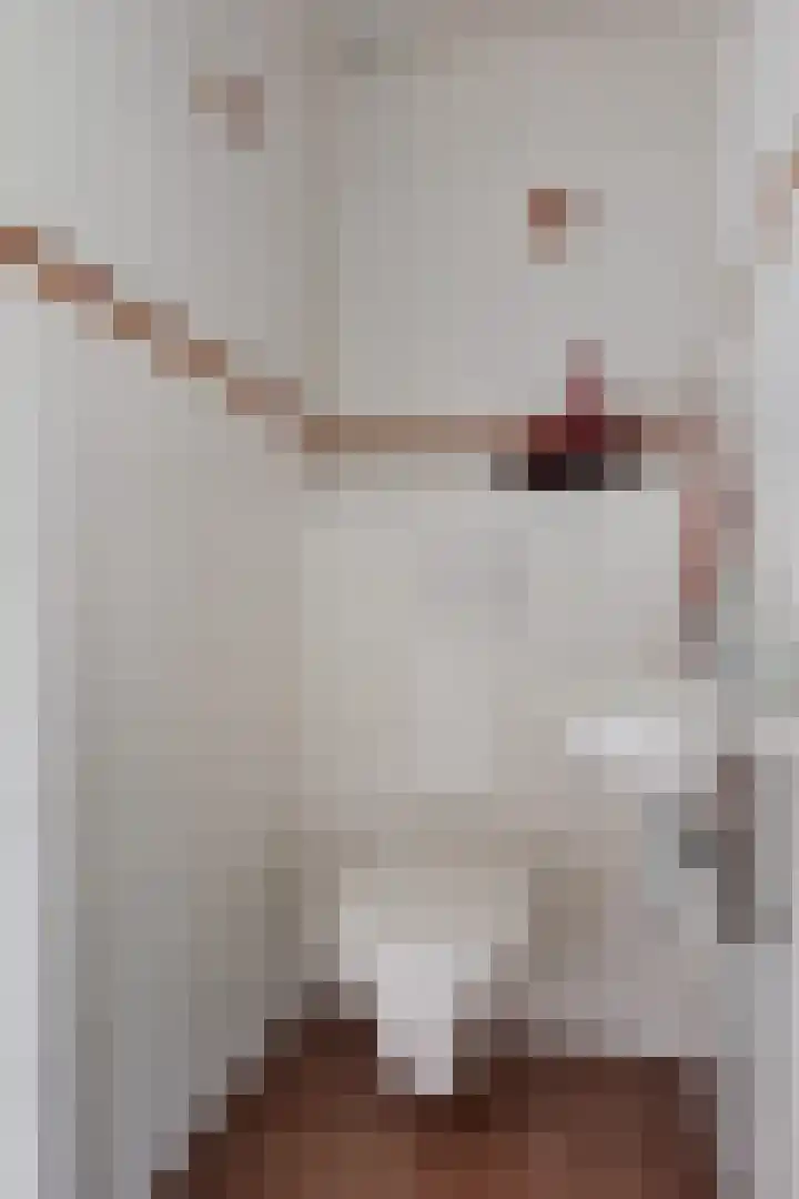 Dilakker 13 Aalden thumbnail 16