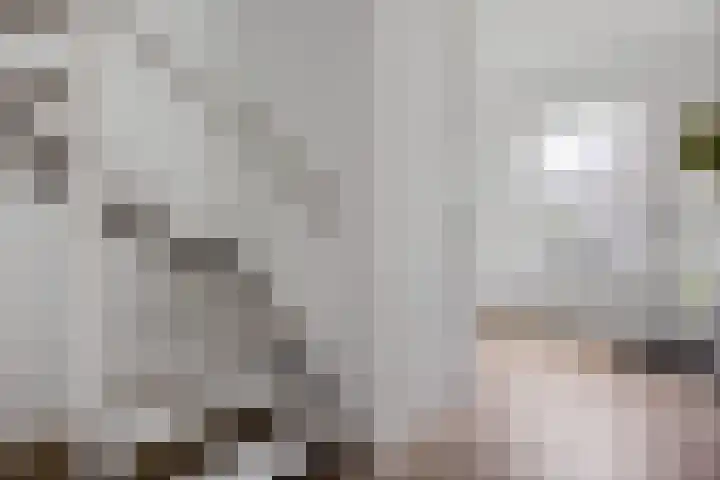 Dilakker 13 Aalden thumbnail 18