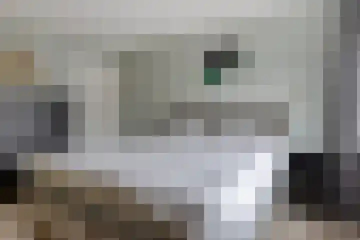 Dilakker 13 Aalden thumbnail 19