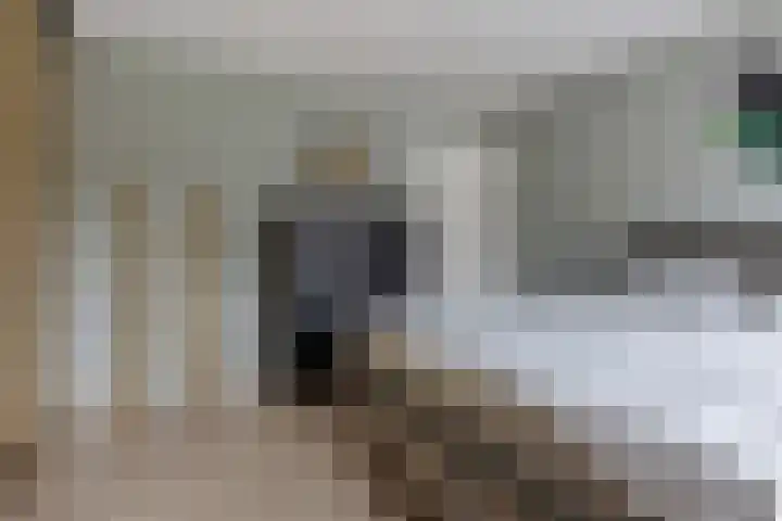 Dilakker 13 Aalden thumbnail 22