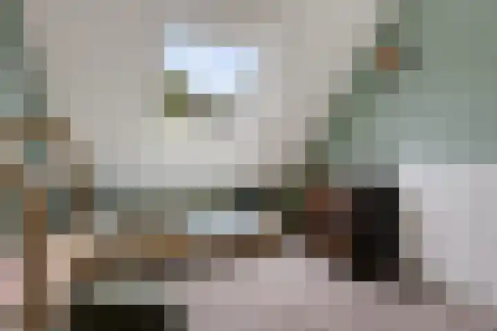 Dilakker 13 Aalden thumbnail 23