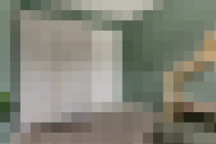 Dilakker 13 Aalden thumbnail 24
