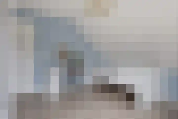 Dilakker 13 Aalden thumbnail 26