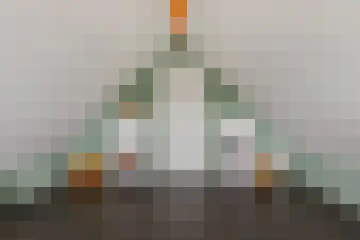 Dilakker 13 Aalden thumbnail 36