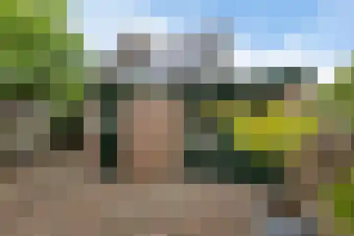 Dilakker 13 Aalden thumbnail 38