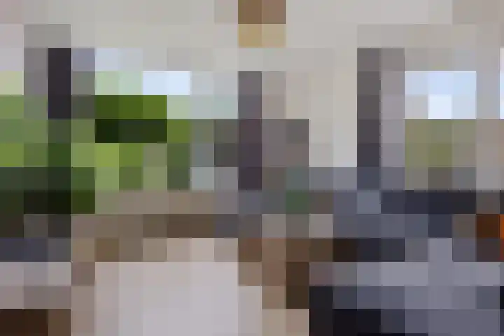 Dilakker 13 Aalden thumbnail 4