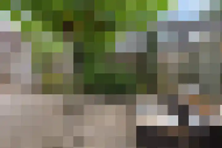 Dilakker 13 Aalden thumbnail 41