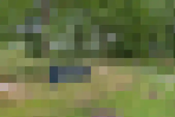 Dilakker 13 Aalden thumbnail 44