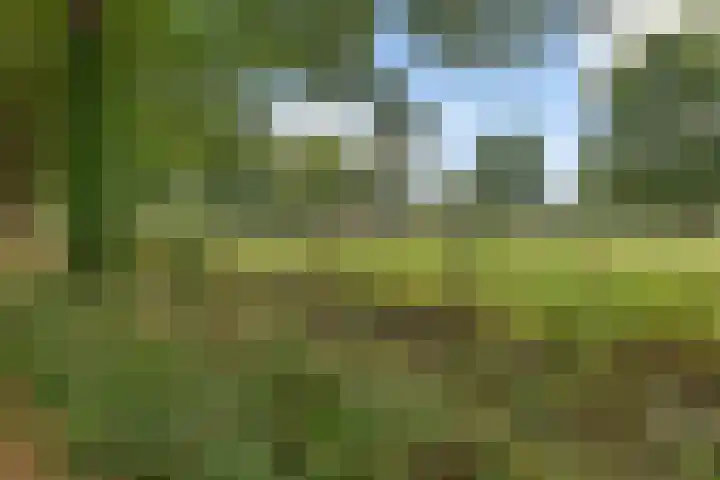 Dilakker 13 Aalden thumbnail 45
