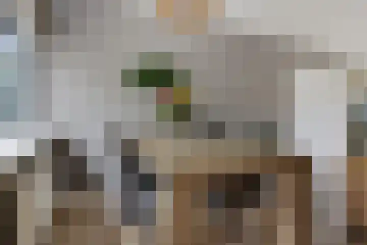 Dilakker 13 Aalden thumbnail 8