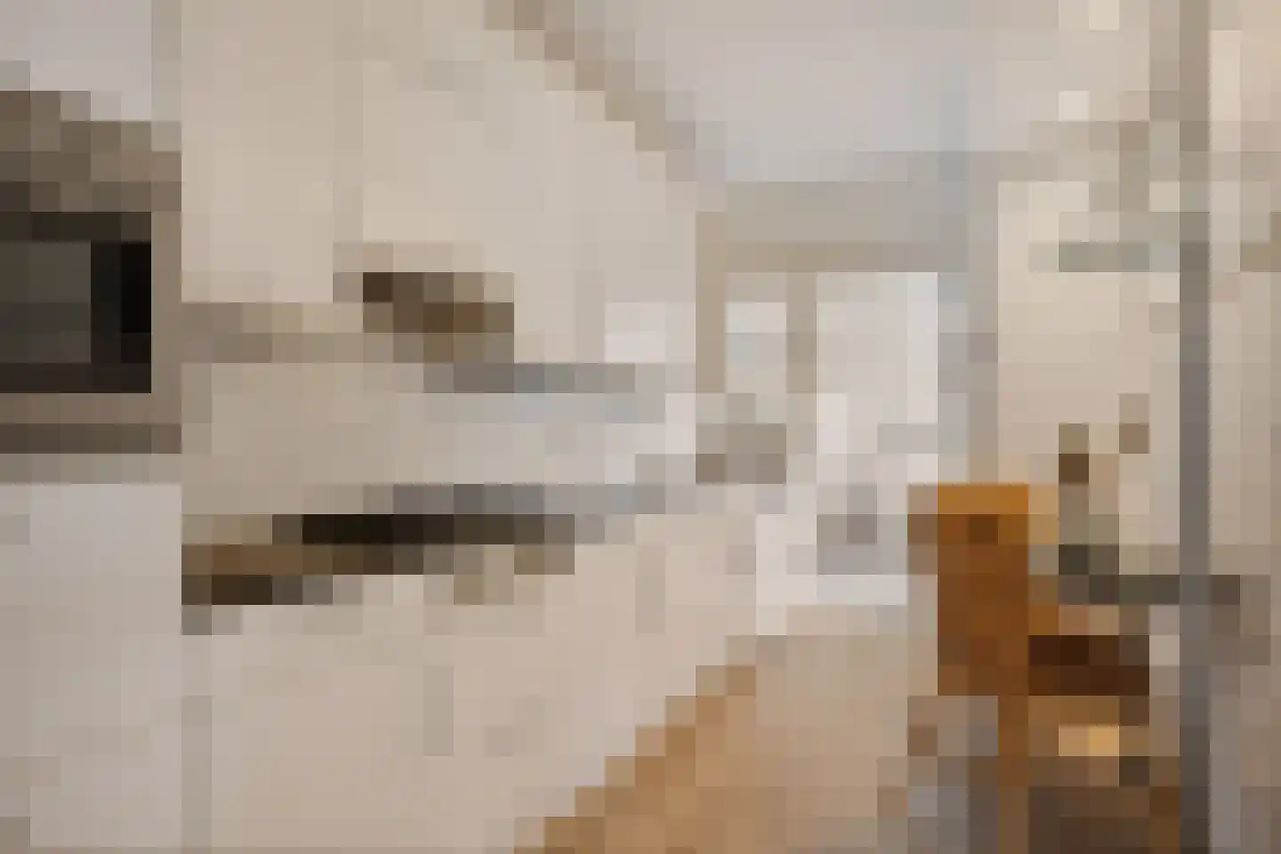 Dilakker 5 Aalden thumbnail 14
