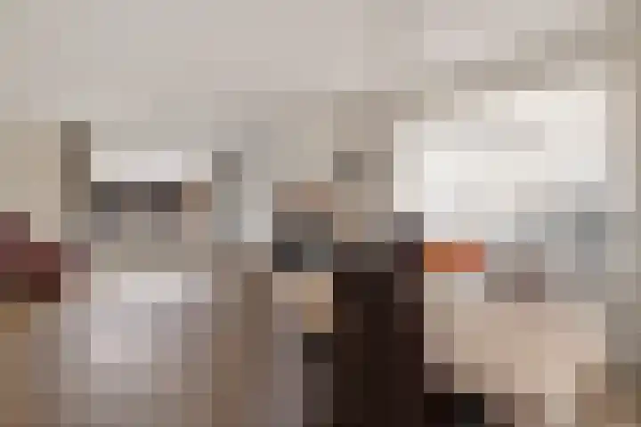 Dilakker 5 Aalden thumbnail 15