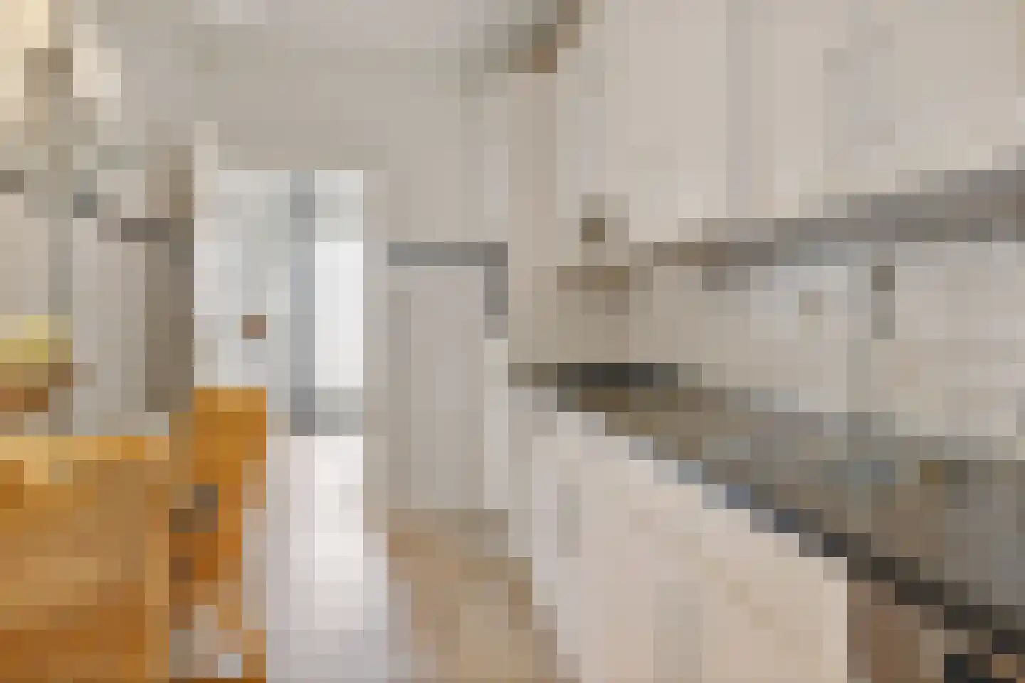 Dilakker 5 Aalden thumbnail 16