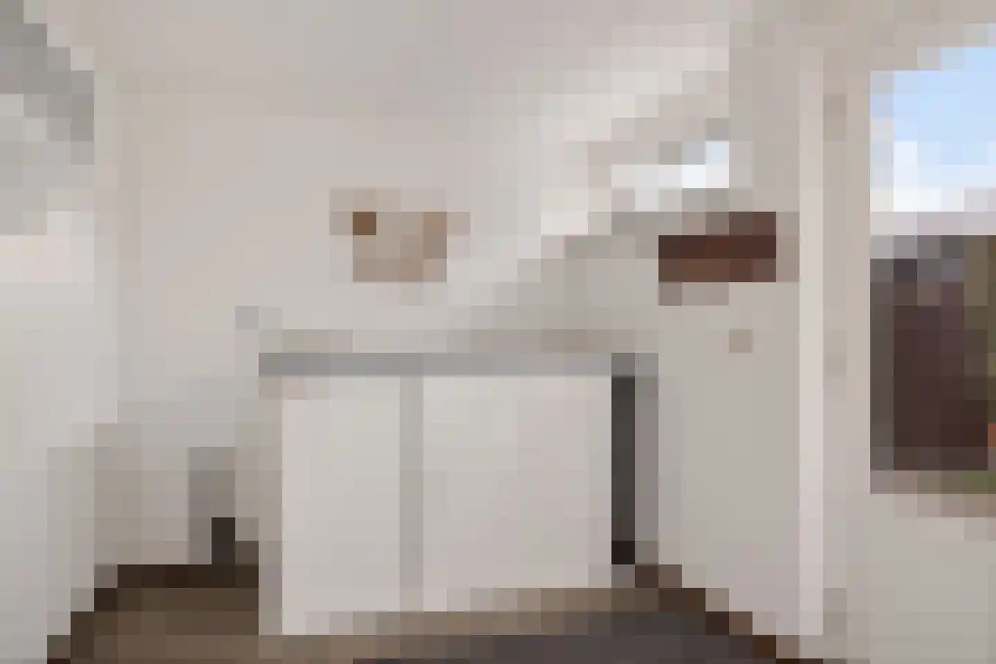 Dilakker 5 Aalden thumbnail 17