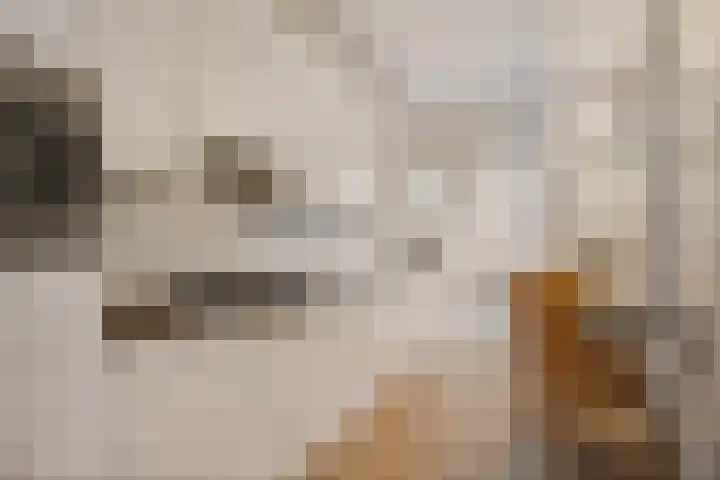 Dilakker 5 Aalden thumbnail 20