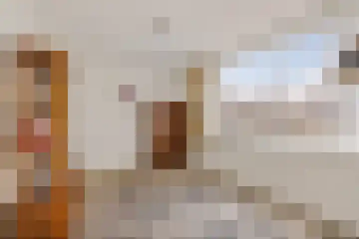 Dilakker 5 Aalden thumbnail 32