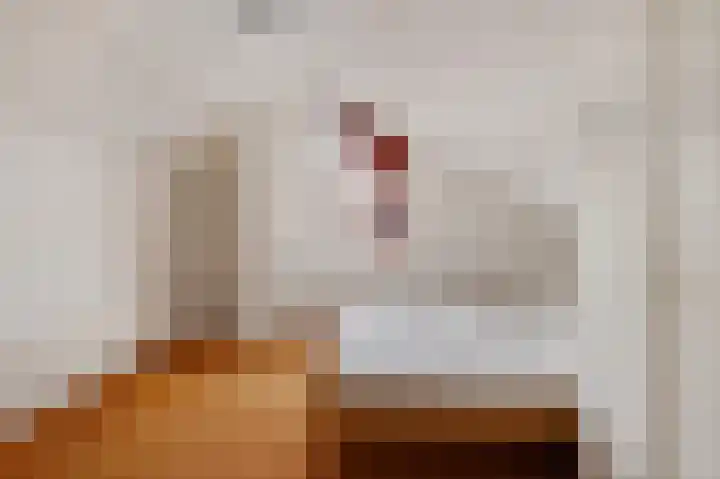 Dilakker 5 Aalden thumbnail 35