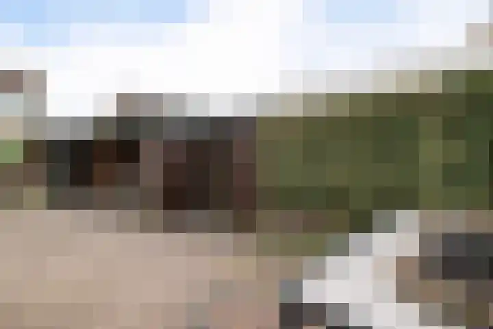 Dilakker 5 Aalden thumbnail 37