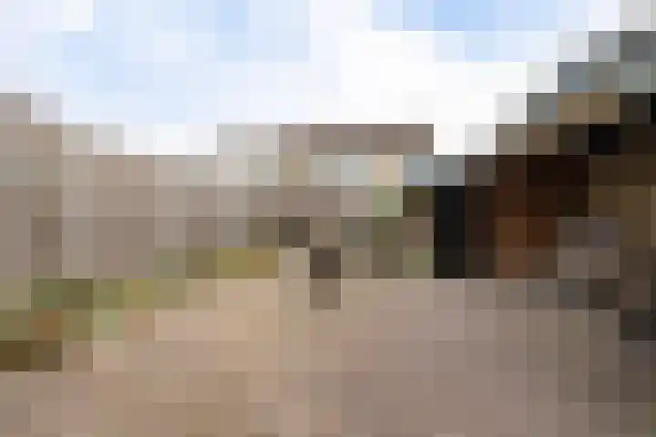 Dilakker 5 Aalden thumbnail 38